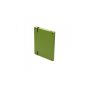 German made.  g.2 Case Cover Apple iPad 3/4 green paper linen black frame (Electronics)