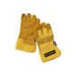 Dunlop 360101 professional work gloves Gr.  L, 'All Season' 3M Thinsulate lining, leather / cotton, yellow, Cat 2 certified according to EN 388/4133 (Automotive)