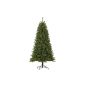 Black Box 379096-01 Trees Artificial Christmas Drummond height 185 cm diameter 99 cm 488 branches, PVC hard and soft needle (household goods)