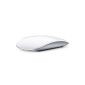 Apple Magic Mouse Laser Wireless Mouse Bluetooth (only for Mac OS X 10.5.8 or later) (Accessories)