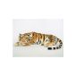 Plush Tiger - dormant - brown - 60 cm (toys)