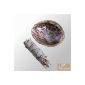 Together Baton Purifier White Sage Middle and abalone shell 13-14cm (abalone shell 5-6Inch) - Salvia Apiana - WHITE SAGE Smudge ML 5 '' (13-15cm ~, ~ 30-35gr.) (Kitchen)
