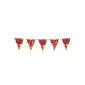 Bunting, 15 pennants, colorful balloon pressure, 50th birthday, 10 m (Toys)