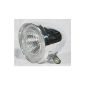 Halogen headlights with chrome switch ~ ~ ~ for hub dynamo bicycle headlight classic retro look to maintain the classic appearance in eg Holland-bikes (Misc.)