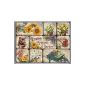 Nostalgic-Art 83042 Home and Country English Flower Garden, magnet-Set, 9-piece (household goods)