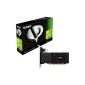 Palit GeForce GT 630 graphics card NEAT630LHD41F (PCI-e, 2GB GDDR3, DVI, HDMI, CRT, 2x GPU) (Accessories)