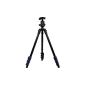 Hahnel Triad 40 9994180 aluminum tripod with sturdy ball head and removable disk incl. Tripod bag (accessories)