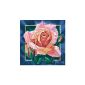 Schipper 609250409 - Paint by Numbers Pink Rose, 40x40 cm (toys)