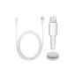 IPHONE CHARGER 6-5 5S 5C USB CABLE DATA SYNC LIGHTNING 8 PIN MINI IPAD AIR (Electronics)