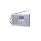 Sony ICF-SW7600GR transistor radio Silver (Electronics)