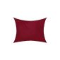 JAROLIFT Oblong Awning / water repellent / 300 x 200 cm / burgundy (garden products)