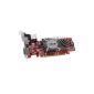 Asus AMD Radeon HD 6450 graphics card (PCI-e, 2GB GDDR3 memory, VGA, DVI, HDMI, 1 GPU) (Accessories)