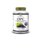 OPC high doses - 300 mg Grape Seed Extract + Vitamin A, C, E and astaxanthin - 150 tablets (Misc.)