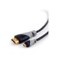 CSL - 2m (meters) - Micro HDMI (Type D) to HDMI (Type A) | golden cable (High Speed) HQ Micro has HDMI 1.4 with support for 3D and Ethernet TRUE | Full HD / HD Ready / 3D | 1080p / 2160 p / 4K (Ultra HD) (Electronics)