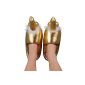 Close2You Golden Penis Slippers, 1er Pack (1 x 1 piece) (Health and Beauty)