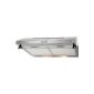Baumarkt directly substructure hood 60 cm stainless steel colored,