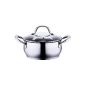 Induction stainless steel saucepan for 2.7 liters, Stockpot, glass lid, diameter 20 cm, (household goods)