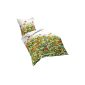 Fleuresse 113 385 Fb. 9 Mako-satin bed linen, 135 cm x 200 cm, multicolored (household goods)