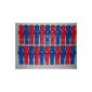 22 Kicker figures in the design lion, red and blue, 16mm.  (Misc.)