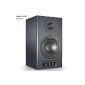 Nubert Nupro A-20 powered speakers anthracite, 1 piece (electronics)