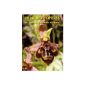 Orchid hybrids Western Mediterranean (Paperback)