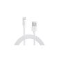 [Apple MFi certified] iClever® Lignting USB Cable 6ft / 1.8m 8-pin USB sync cable for iPhone Charger 6More / 6 / 5s / 5c / 5, iPad Air2 / Air / mini2 / mini, iPad 4th Gen, iPod Touch 5th gen, iPod nano 7th gen (White) (Electronics)
