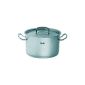Fissler pressure cooker professional 24 cm, with lid (household goods)