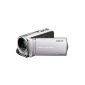 Sony DCR-SX34ES Camcorder (Flash, 60 x optical zoom, 6.9 cm (2.7 inch) display, 4GB of internal memory, touch screen) Silver (Electronics)