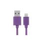 (MFI Apple certified) EZOPower 8-pin Lightning USB Charger Data Sync Cable for Apple iPhone 6, 6 plus 5 5S 5C, iPod Touch 5, iPod Nano 7, iPad 1 & 2 Mini, iPad 4, iPad Air 5 - Violet / 2 meter (Wireless Phone Accessory)