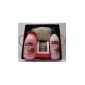 Cottage Delight Metal Box 1 Revitalizing Shower Milk Strawberry and Mint 250ml + 1 After-Shower Strawberry and Mint Conditioner 200ml + Bath Salts Fragrance Strawberry and Mint 90 g + 1 Exfoliating Glove (Health and Beauty)