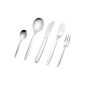 Auerhahn 22 9091 0160 Slide, dinner set 60 pieces, 18/10 stainless steel, polished (household goods)