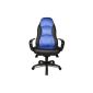 Topstar SC20FTC6 Chefsessel Speed ​​Chair armrests included (household goods)