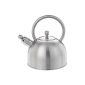 Stainless steel kettle 2.5 liter satin induction (household goods)