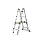 SCALE and STEPLADDER TELESCOPIQUE 3.80m + Multifunction Carrying Case