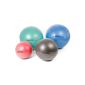 Pezziball exercise ball MAXAFE (Misc.)