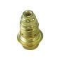 71116 Electraline threaded socket E14 + 2 Rings Gold (Tools & Accessories)