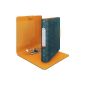Leitz 11340058 quality folder Retro Chic, PP, A4, narrow, petrol (Office supplies & stationery)