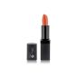 Professional makeup lipstick, intense and long-lasting color with Vitamin E, 4 gr., Color lola (Misc.)
