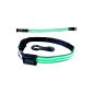 2-TECH rechargeable very bright LED dog collar in green Size L (neck circumference 35 to 55cm) 4th generation with USB Micro charging interface and IP44 (Misc.)