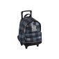 Major League Baseball Backpack Kids Backpack with 2 compartments Trolley 45 cm (gray) (Luggage)
