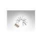 10 LED Mini Lights, battery operated with switch, illuminated in a warm white