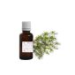 EOBBD Essential Oil of TEA TREE in or Tea Tree (Melaleuca alternifolia) 50ml - Free Shipping (Health and Beauty)