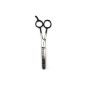 Babyliss - 790,627 - Special Hairdressing Scissors Tapering (Health and Beauty)