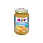Hipp breakfast carrots with potatoes and wild salmon, 6-pack (6 x 190 g) (Food & Beverage)