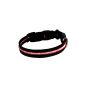 2-TECH LED dog collar in RED 2nd generation 50cm 2.5cm wide - (Misc.) Neck circumference from 34 to 50 cm