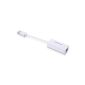 Cable Matters Adapter Fast Ethernet Hi-Speed ​​USB 2.0 White (Electronics)