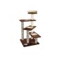 Scratching post for cats, cat scratching post, cat tree 100 cm high (two-tone) (brown / beige) (Misc.)
