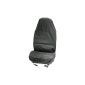 Carpoint 0620712 seat-nice 2 piece (Automotive)