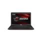 Asus ROG G741JW-T7100H Gamer Laptop 17.3 
