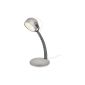 DYNA 674139916 Philips LED desk lamp indoor fixture Grey Plastics (Kitchen)